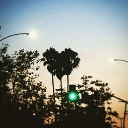 Low angle view of trees against sky