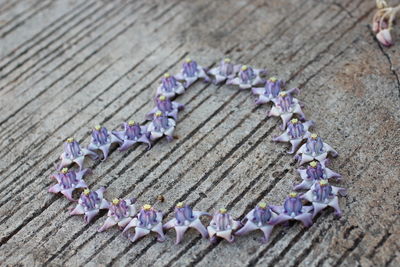 High angle view of purple flowers on table