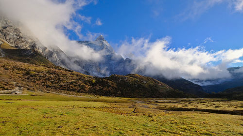 Scenic view of landscape against sky