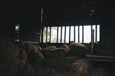 Interior of abandoned building