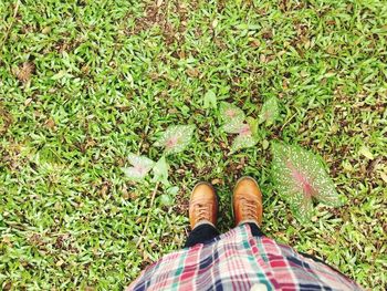 Low section of woman standing on grassy field in park