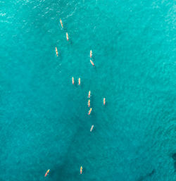 High angle view of swimming in sea