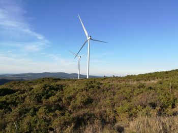 Low angle view of wind turbines on field against blue sky