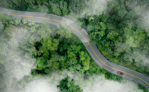 Aerial top view of a red car driving on highway road in green forest. sustainable transport.