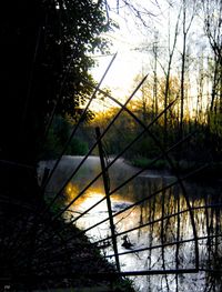 Silhouette trees by lake against sky during sunset