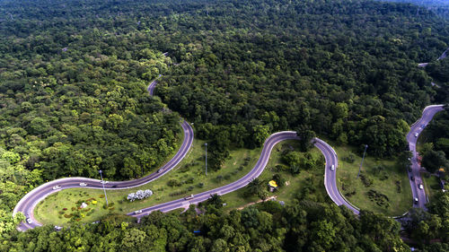 High angle view of road amidst trees