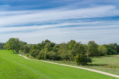 Scenic view of field against sky