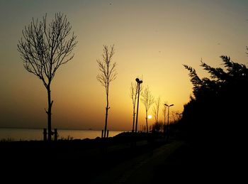 Silhouette trees against sky during sunset