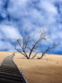 Bare trees on landscape against cloudy sky