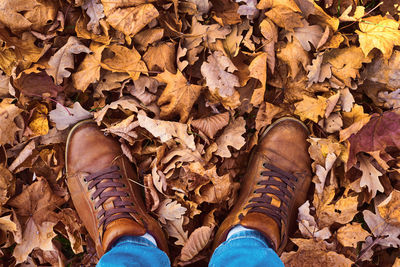 Low section of person standing on dry maple leaves