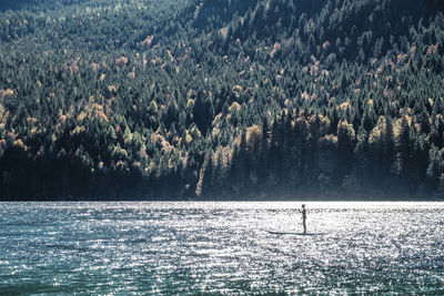 Germany, bavaria, garmisch partenkirchen, young woman stand up paddling on lake eibsee