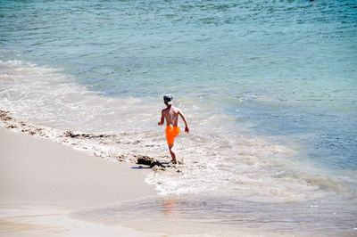 Rear view of man on beach