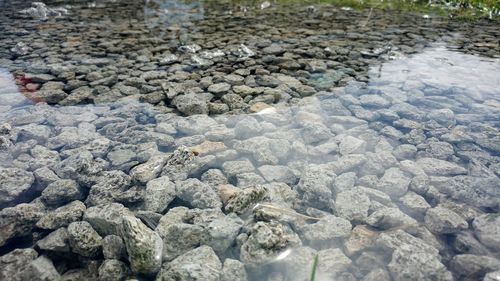 Close-up of pebbles in water