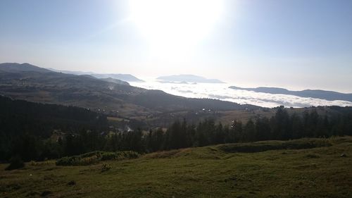 Scenic view of landscape against sky