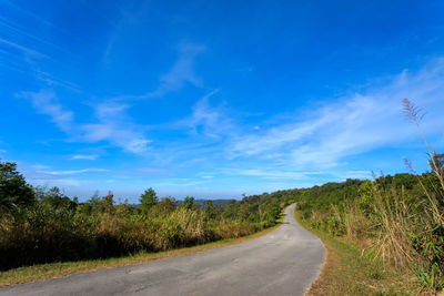 Empty road along trees and plants against blue sky