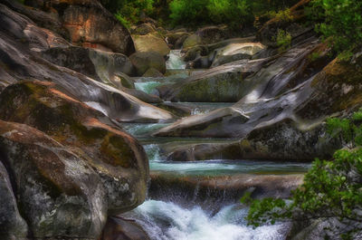 Scenic view of waterfall in forest