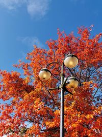 Low angle view of street light against sky