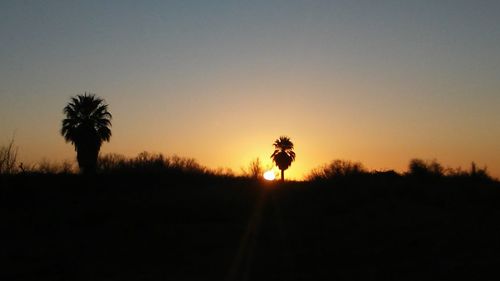 Silhouette trees on field against clear sky at sunset