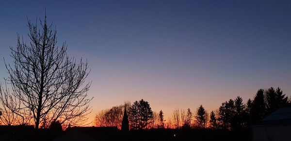 Silhouette bare trees against clear sky at sunset