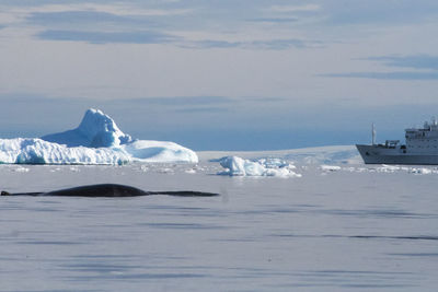 Scenic view of frozen sea against sky