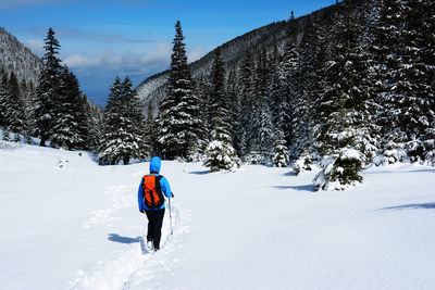 Rear view of man on snow covered landscape