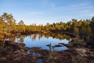 Scenic view of lake in forest against sky
