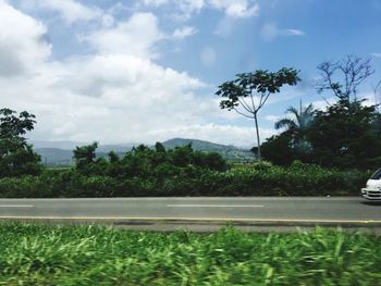 Road by trees against sky