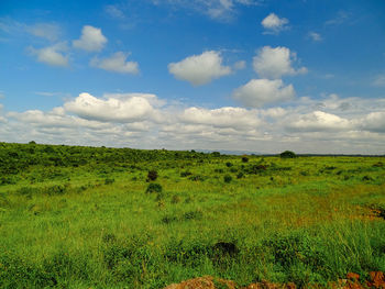 Scenic view of landscape against sky