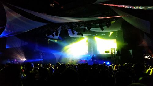 People enjoying music concert at night