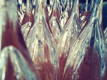 Close up of plant against blurred background