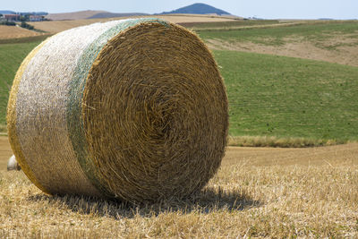 Closeup of a round bale of hay in a tuscany harvested field