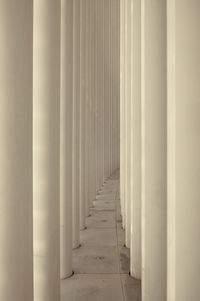 Corridor of building