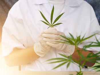 Midsection of man holding white flowers