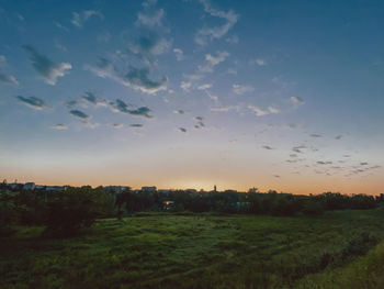 Scenic view of field against sky during sunset