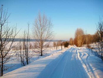 Snow covered road amidst bare trees against clear sky