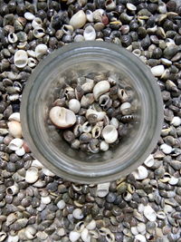 High angle view of pebbles in container