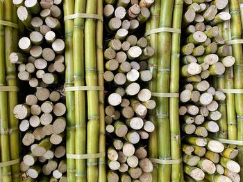 Full frame shot of sugar cane