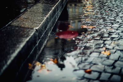 Reflection of street in puddle