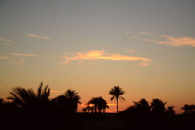 Silhouette palm trees at sunset