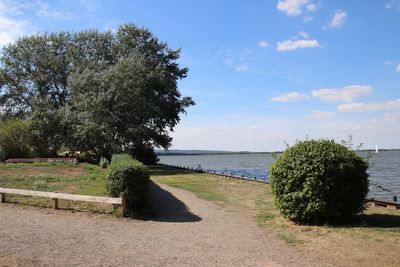 Trees by sea against sky