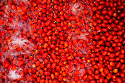 Full frame shot of oranges at market