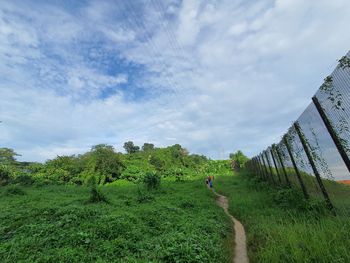 Scenic view of field against sky