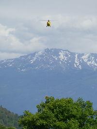 Low angle view of helicopter flying against sky