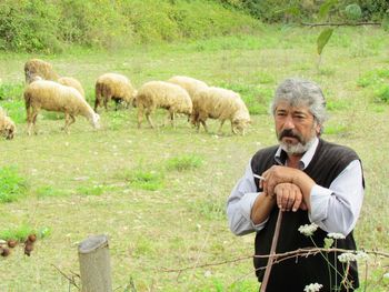 Portrait of young man with sheep standing in grass