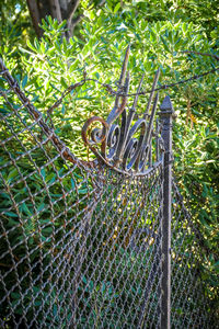 View of a horse on fence