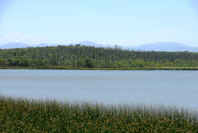 Scenic view of lake against sky