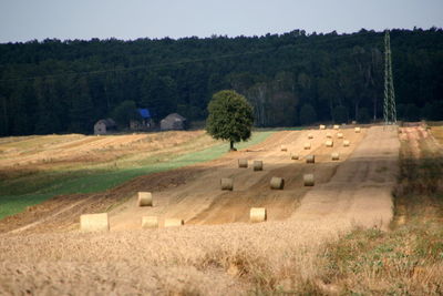 Hay bales on field against sky