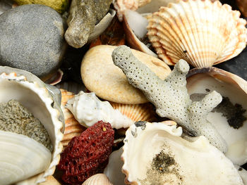 Close-up of food on table