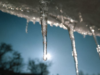 Low angle view of icicles against sky