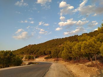 Road by trees against sky